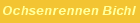 Ochsenrennen Bichl