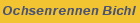 Ochsenrennen Bichl